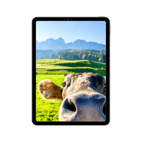 iPad Pro 12.9' (4th gen 2020)