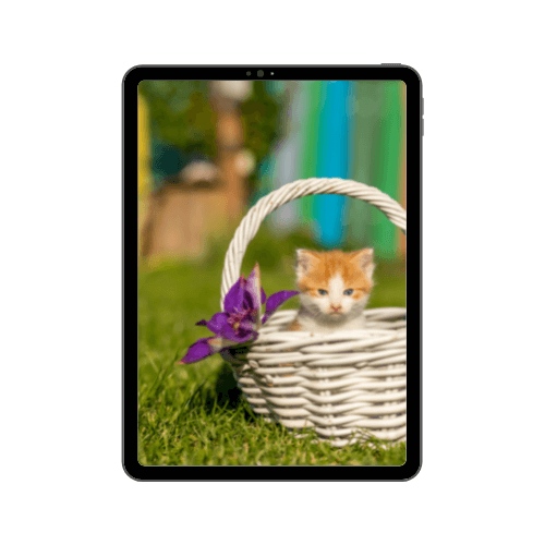 iPad mini (5th generation)